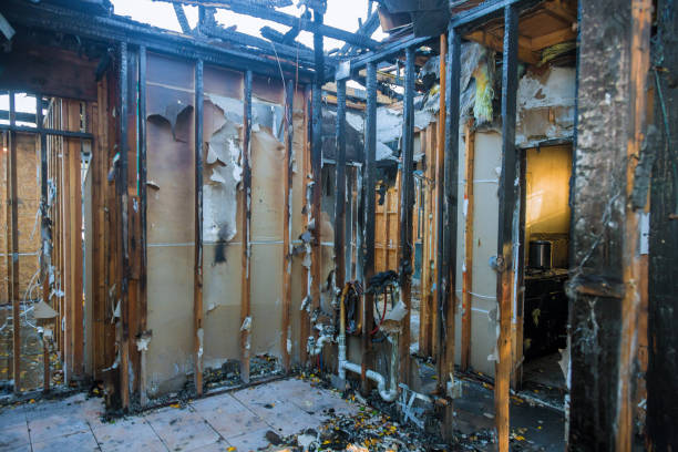 Professional Soot Removal technician working in Glenolden, PA